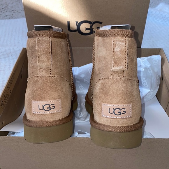 NEW IN BOX!!!!!! MINI CHESTNUT UGGS CLASSIC II